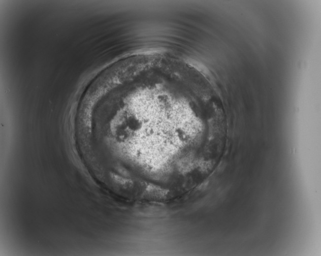 X0000089700337200707201745