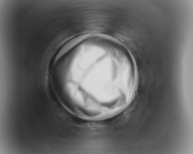 X0000089700338200707201745