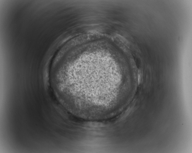 X0000089700339200707201745