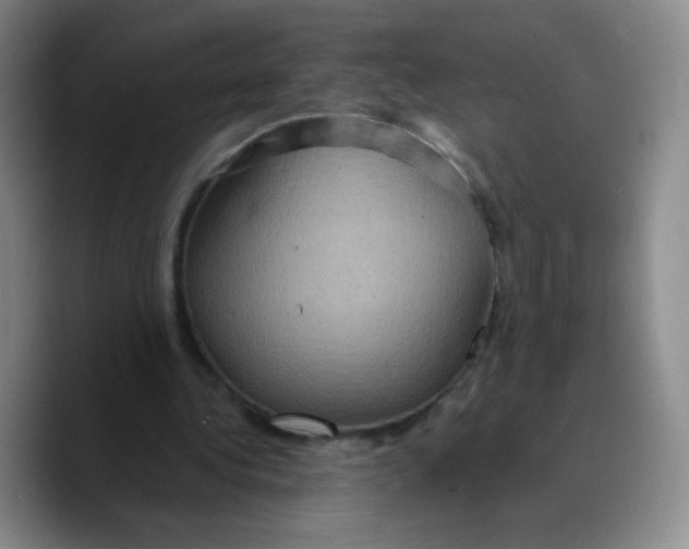 X0000089700340200707201745