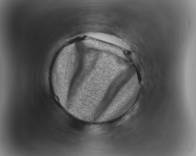 X0000089700341200707201745