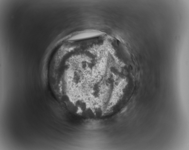 X0000089700343200707201745