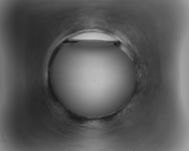 X0000089700344200707201745