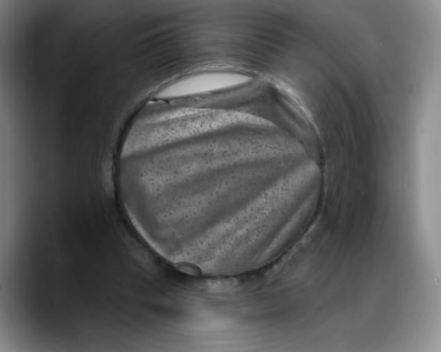 X0000089700345200707201745
