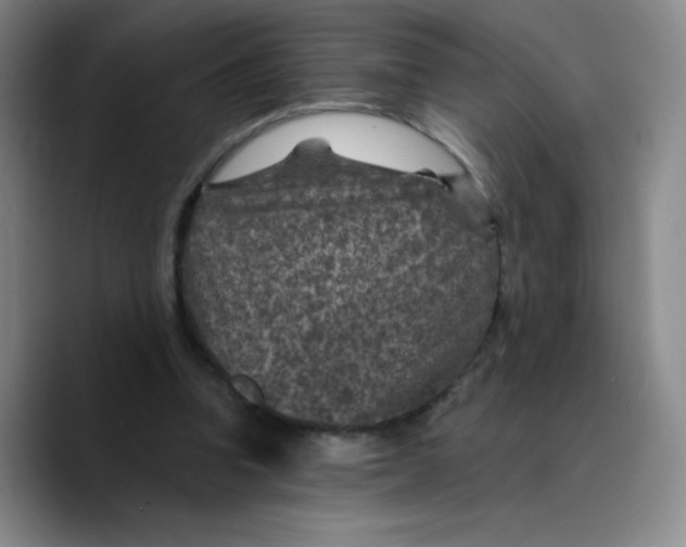 X0000089700346200707201745
