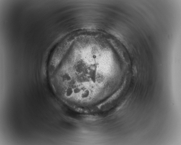 X0000089700347200707201745