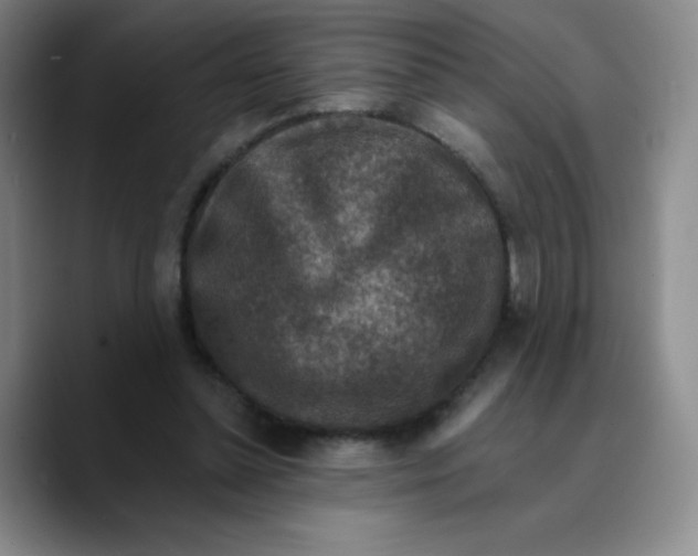 X0000089700348200707201745