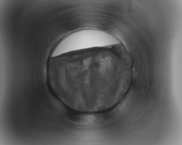X0000089700349200707201745