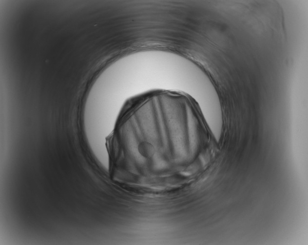 X0000089700352200707201745