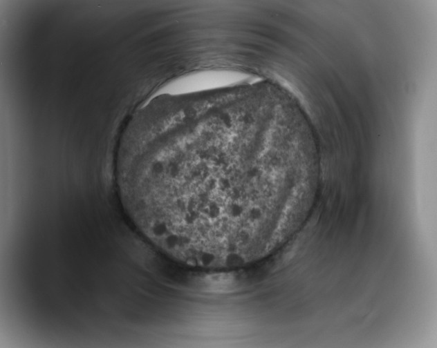 X0000089700353200707201745