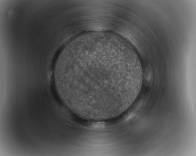 X0000089700355200707201745