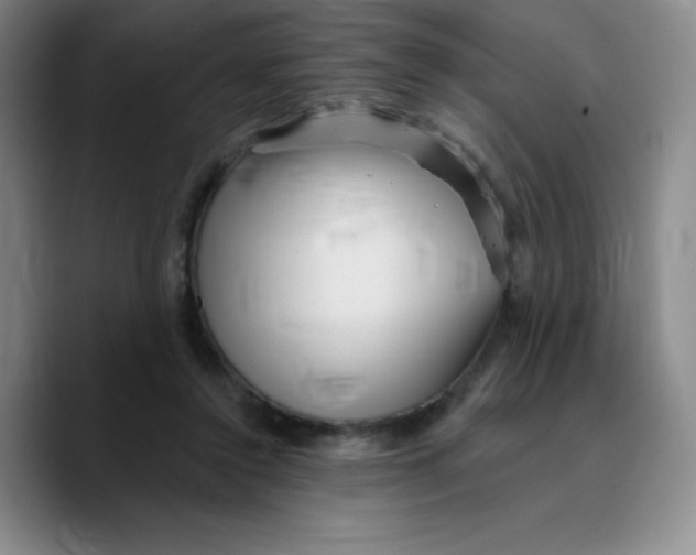 X0000089700356200707201745