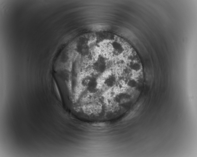 X0000089700357200707201745
