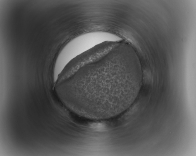 X0000089700358200707201745