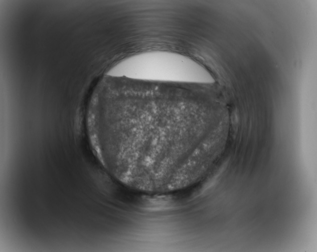 X0000089700359200707201745