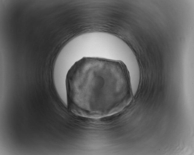 X0000089700360200707201745