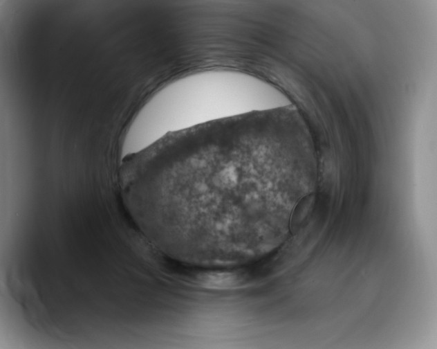 X0000089700361200707201745
