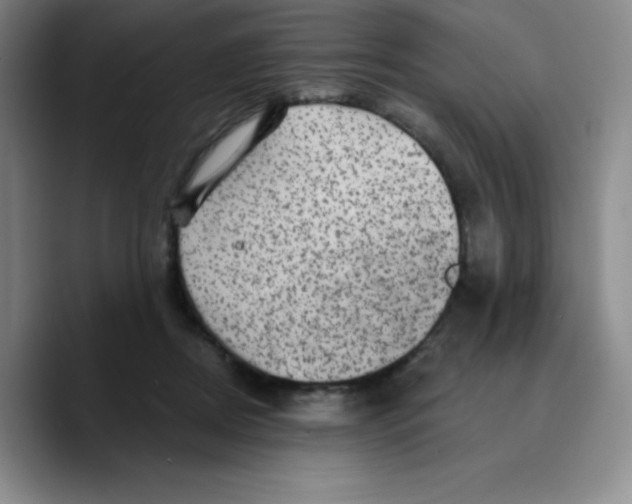 X0000089700362200707201745