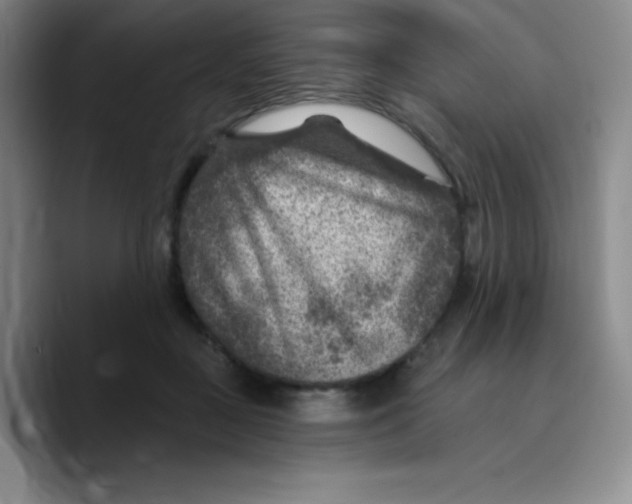 X0000089700363200707201745