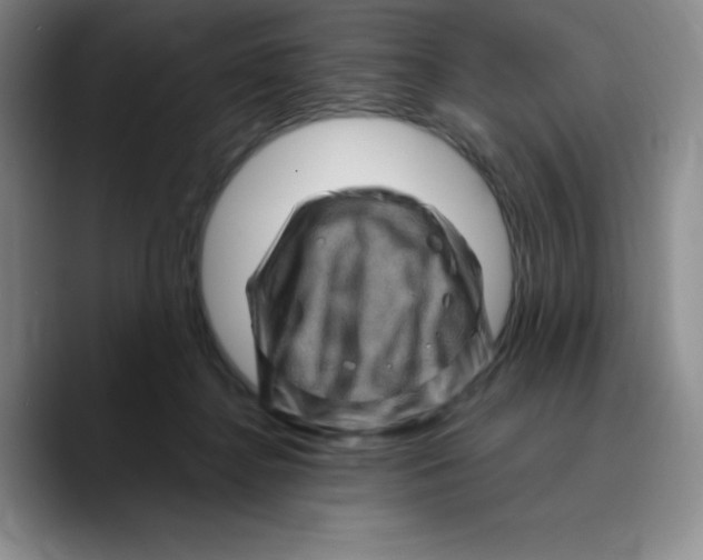X0000089700364200707201745