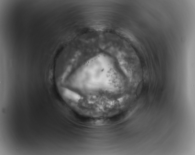 X0000089700365200707201745