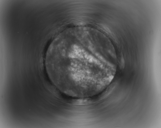 X0000089700366200707201745