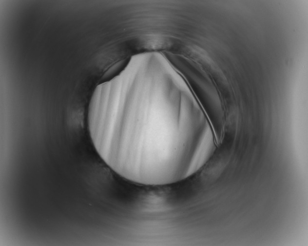 X0000089700368200707201745