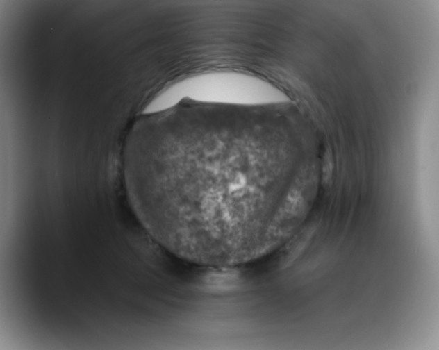 X0000089700369200707201745