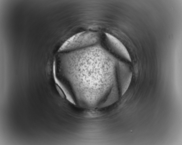 X0000089700372200707201745