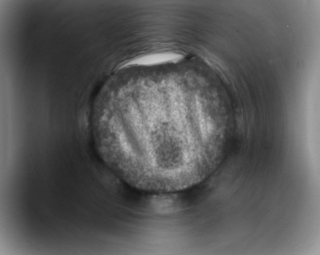 X0000089700373200707201745