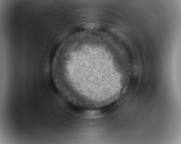 X0000089700375200707201745
