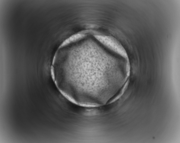 X0000089700376200707201745