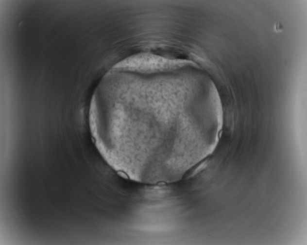 X0000089700378200707201745