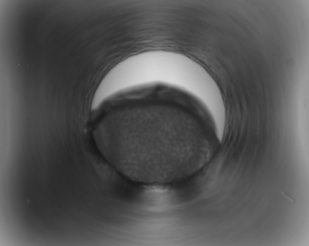 X0000089700380200707201745