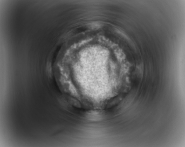 X0000089700381200707201745
