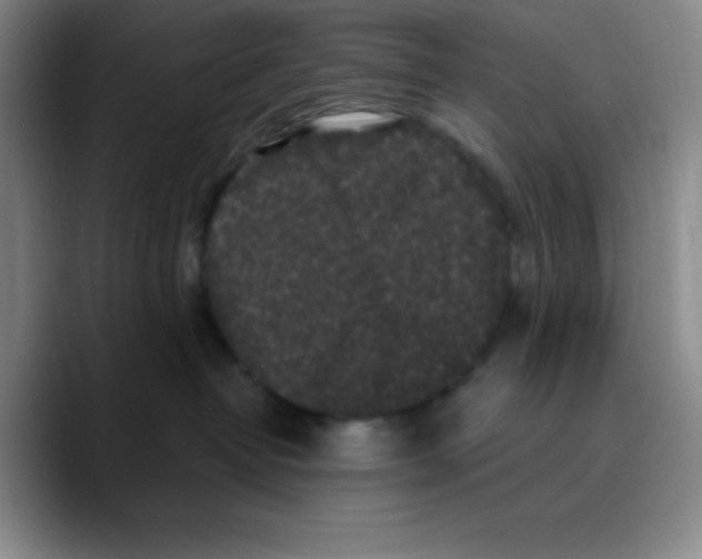 X0000089700382200707201745
