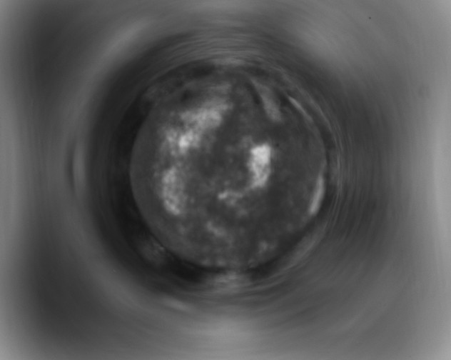 X0000089700383200707201745