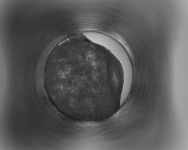 X0000089700385200707201745