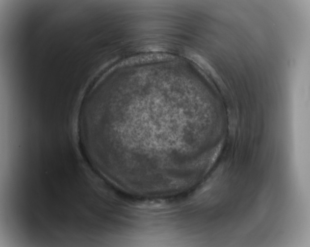 X0000089700386200707201745