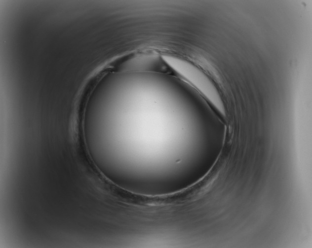 X0000089700388200707201745