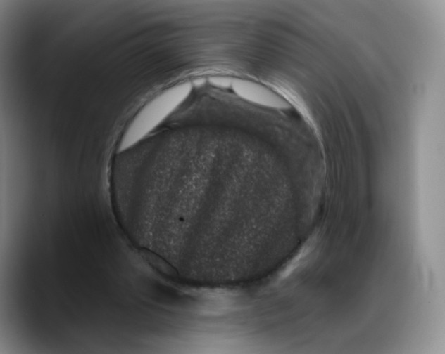 X0000089700389200707201745