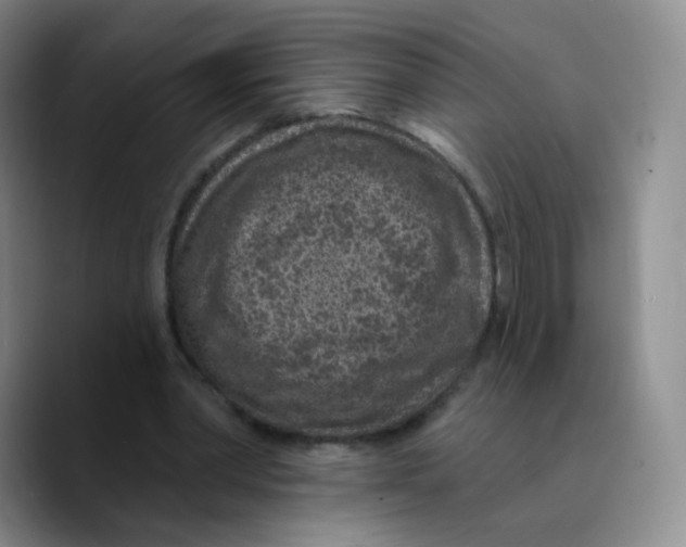 X0000089700390200707201745