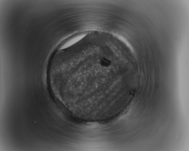 X0000089700391200707201744