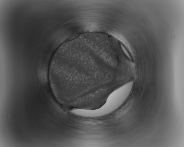 X0000089700393200707201744