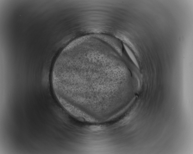 X0000089700394200707201744