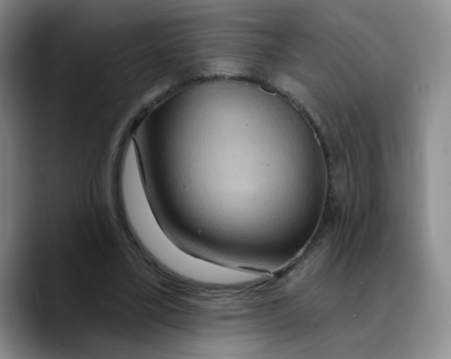 X0000089700395200707201744
