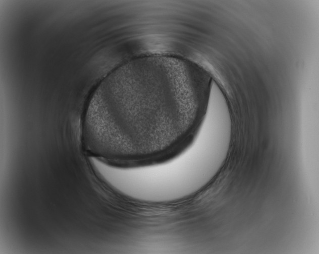 X0000089700397200707201744