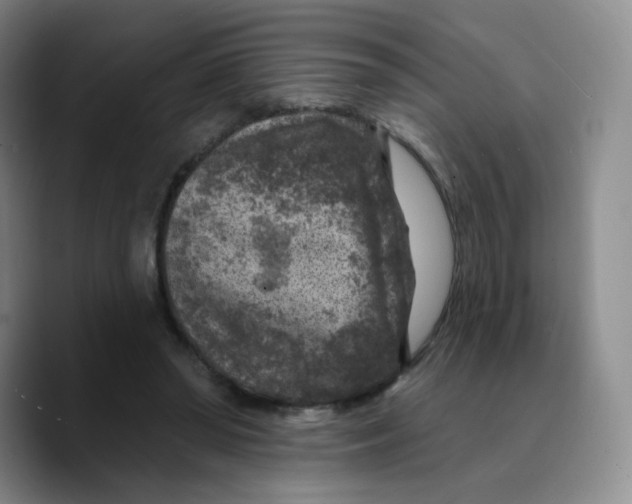 X0000089700398200707201744