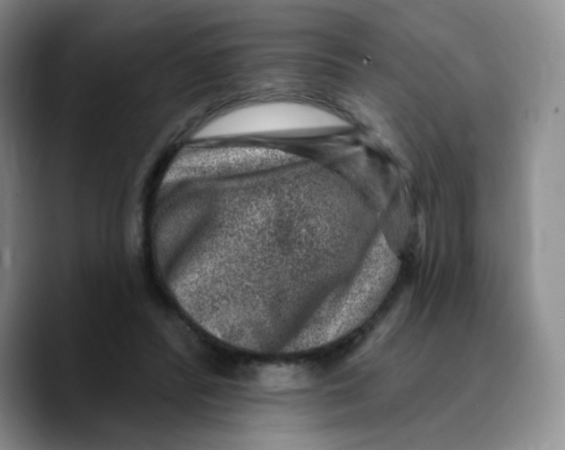 X0000089700400200707201744