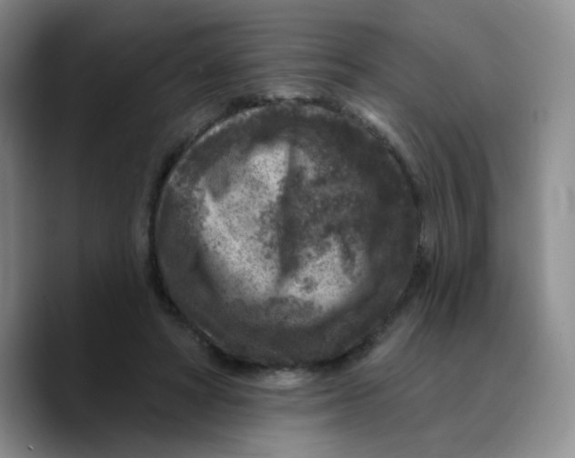 X0000089700402200707201744